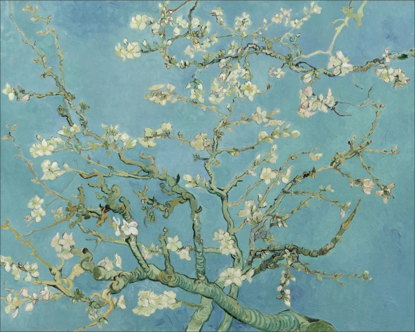 Amandelbloesem van Gogh tuindoek