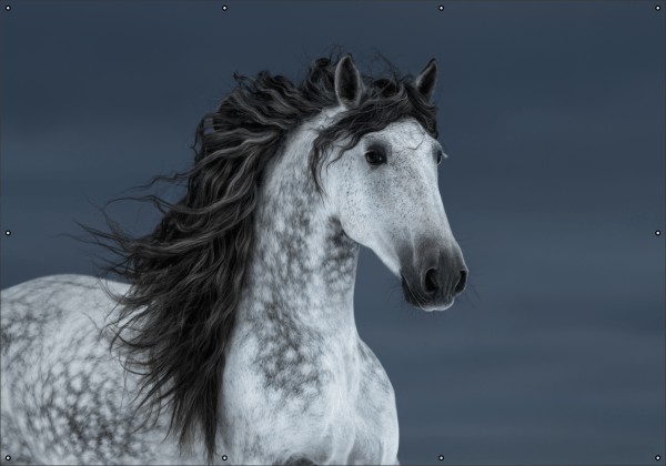 Andalusisch paard tuindoek