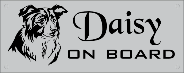 Autobanner border-collie on board