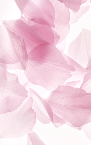 Autodak sticker Bloemblaadjes