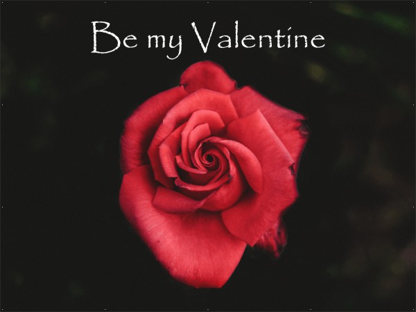 Be my valentine spandoek