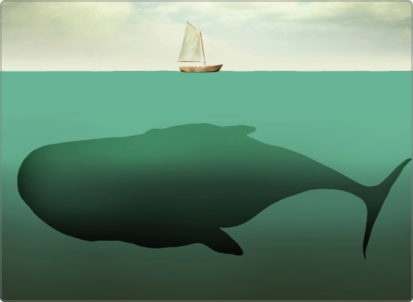 Walvis Laptop Sticker 17 inch