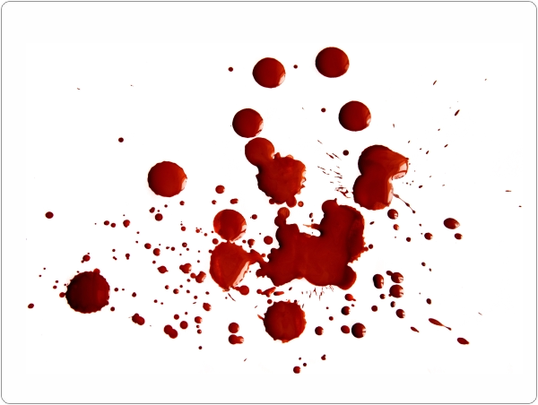 Bloed laptop sticker 15 inch