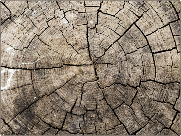 Boomstam laptop sticker 15 inch