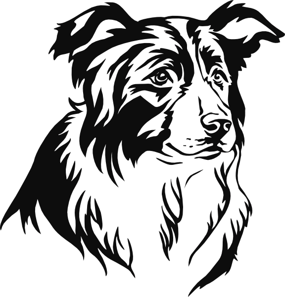 Border Collie muursticker