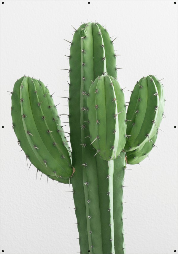 Cactus tuindoek