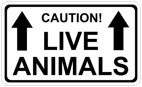 Caution live animals sticker