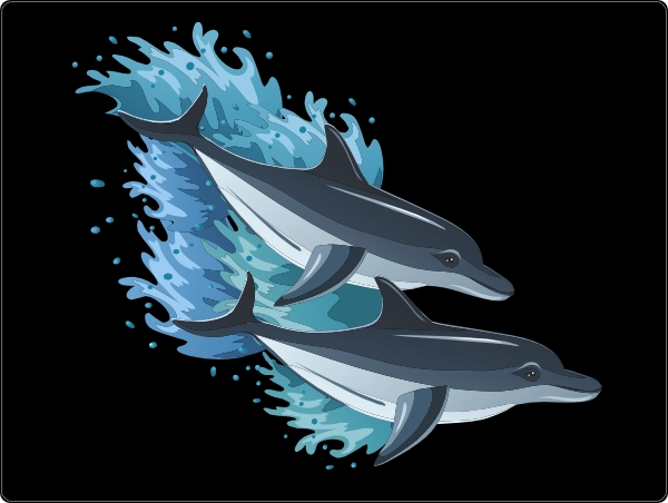 Dolfijnen laptop sticker 15 inch
