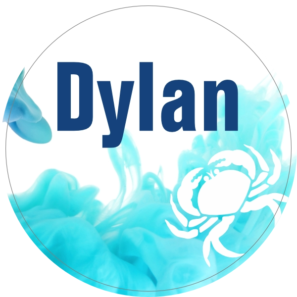 Doopsuiker sticker Kreeft