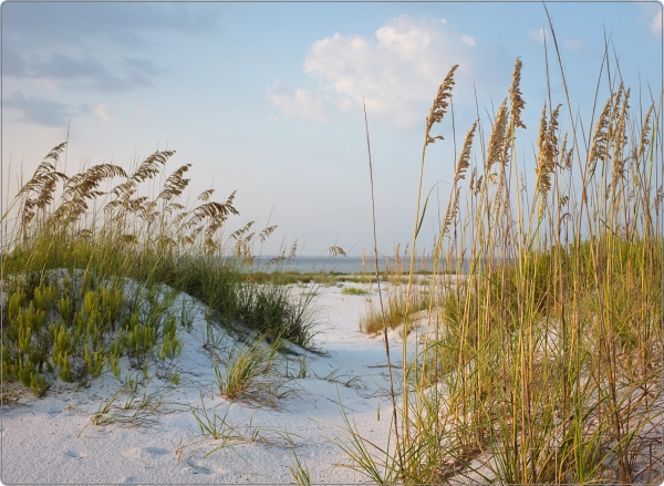 Duinen laptop sticker 17 inch