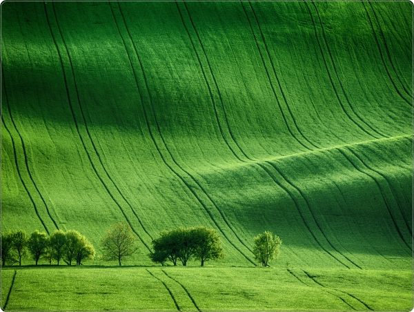 Fields Laptop Sticker 15 inch