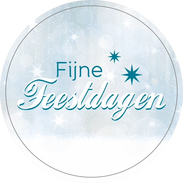 Fijne feestdagen doming lichtblauw