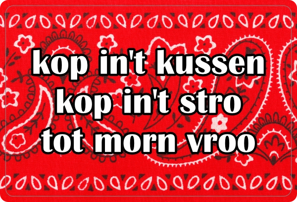 fleecedeken kop in t kussen