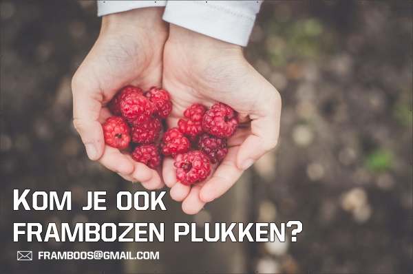 Frambozen plukken spandoek