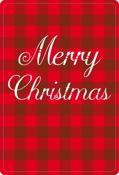 Geblokt Merry Christmas Kleed