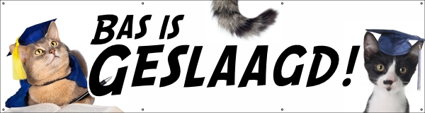 Geslaagd cats spandoek