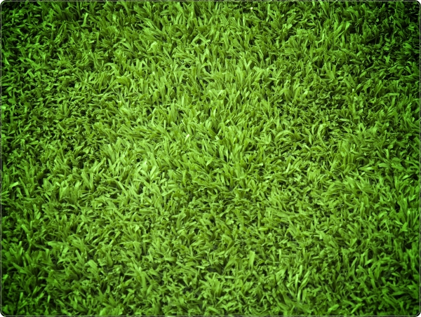 Gras laptop sticker 15 inch