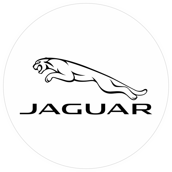 Jaguar naafdop