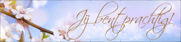 Jij bent prachtig spandoek