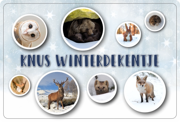 Knus Winterdekentje