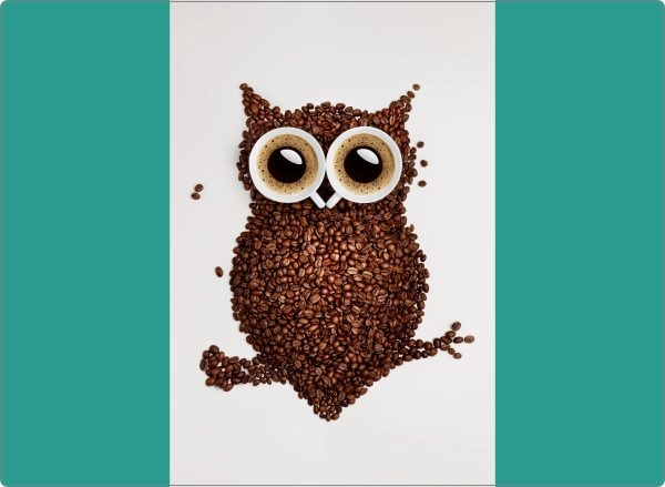 Koffie uil laptop sticker 17 inch