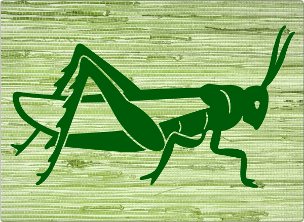 Krekel laptop sticker 17 inch