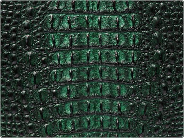 Krokodil laptop sticker 15 inch