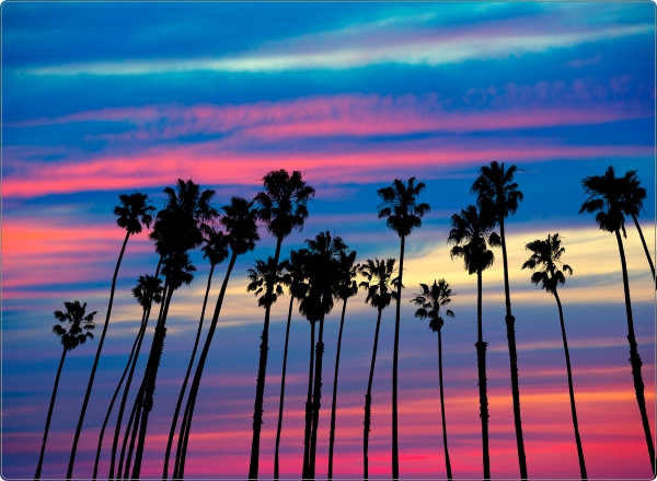 Los Angeles Laptop Sticker 17 inch