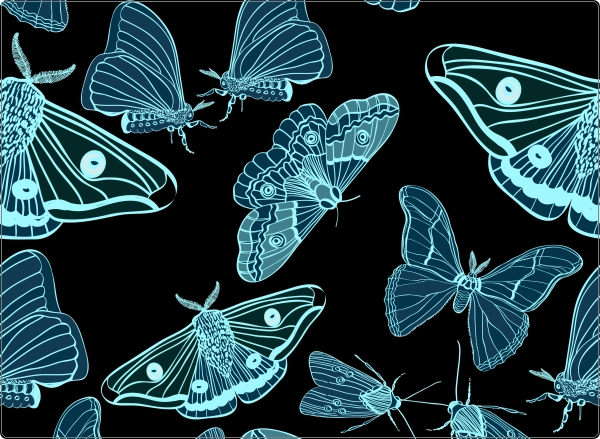 Motten X-Ray Laptop Sticker 17 inch