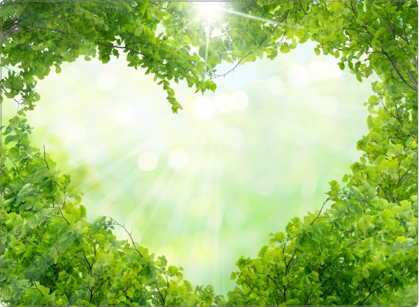 Natuurhart Laptop Sticker 17 inch