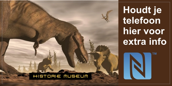 NFC sticker met tekst