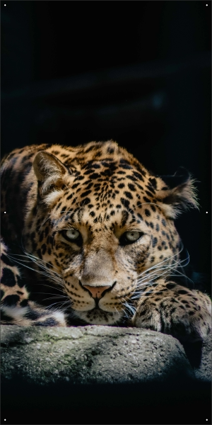 Noord-Chinese Panter tuindoek