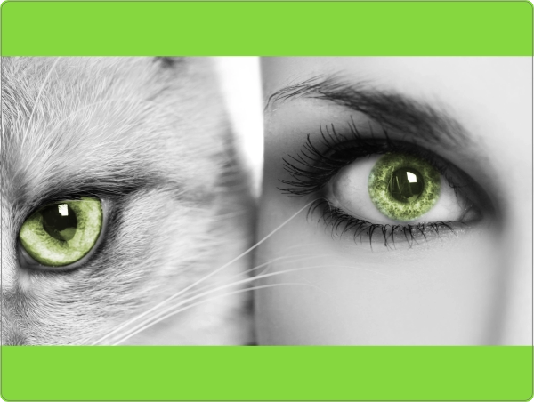 Ogen Groen Laptop Sticker 15 inch