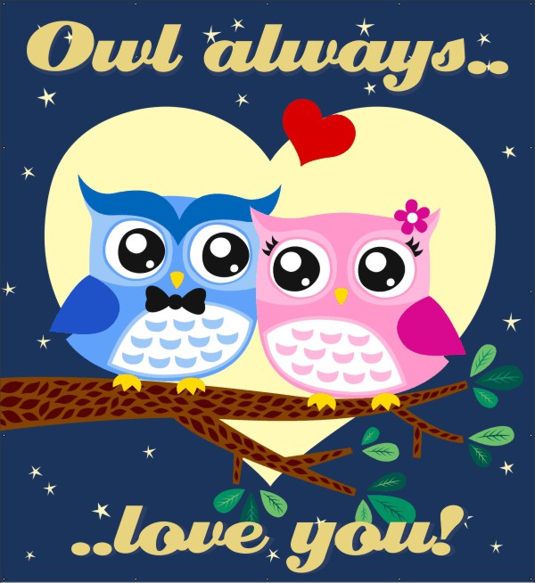 Owl Always Love You Spandoek