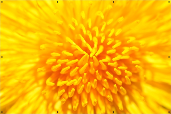 Paardebloem tuindoek