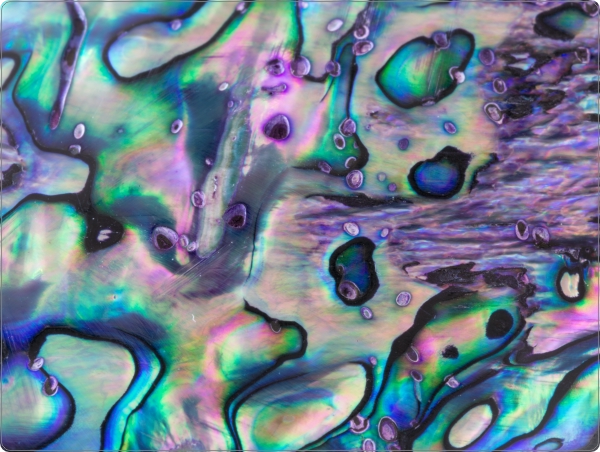 Parelmoer laptop sticker 15 inch