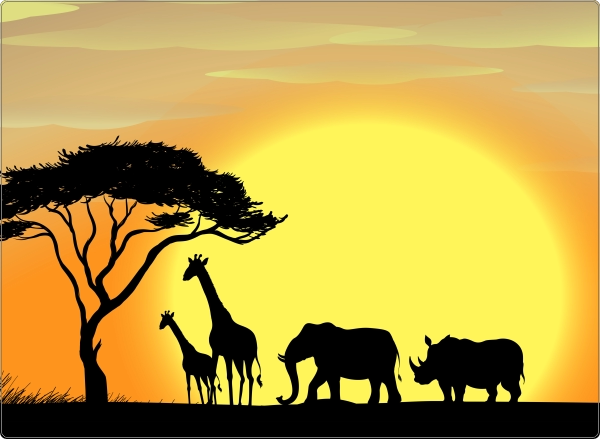 Safari Laptop sticker 17 inch