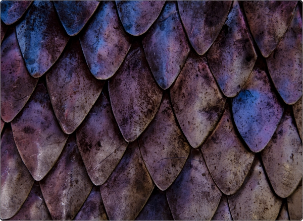 Schubben laptop sticker 17 inch