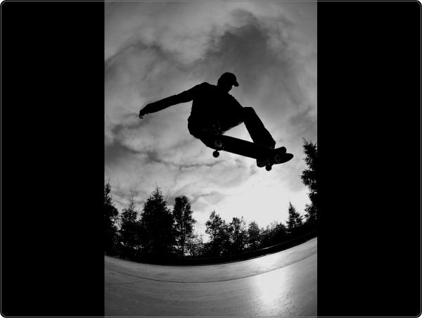 Skate laptop Sticker 15 inch