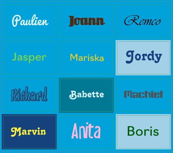 Stickervel namen blauw