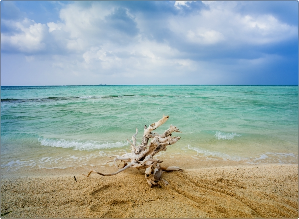 Strand Laptop Sticker 17 inch