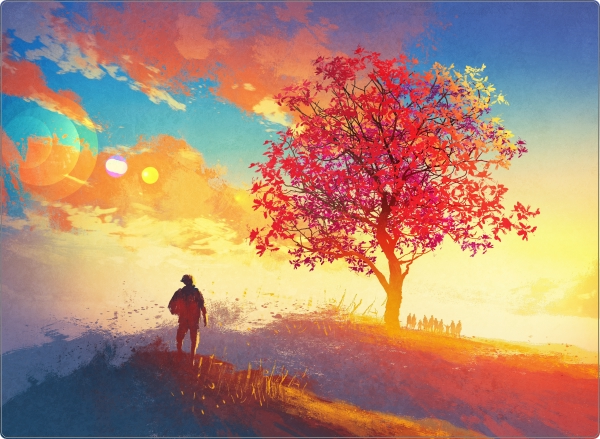 Sunset laptop sticker 17 inch