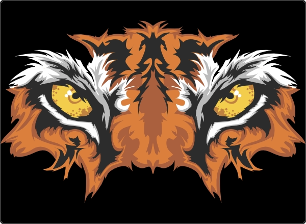 Tijgerogen laptop sticker 17 inch