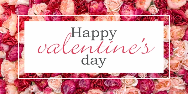 Valentines day roses sticker