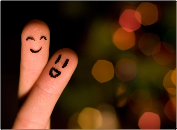 Vingers Laptop Sticker 17 inch