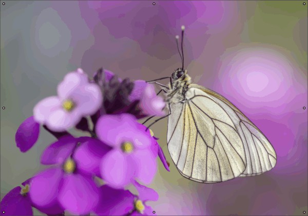 Vlinder op bloem tuindoek