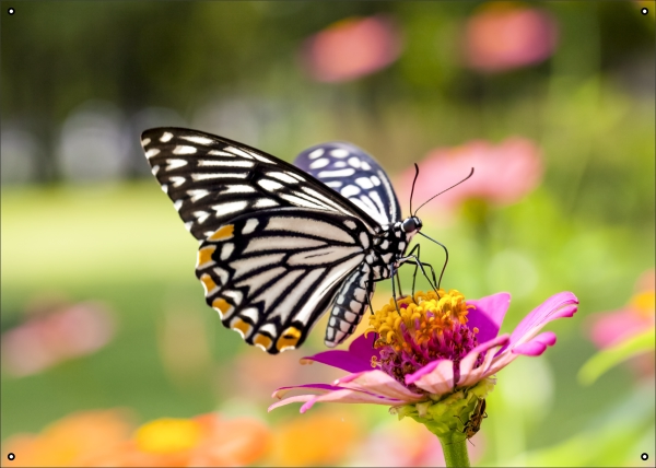 Vlinder Op Bloem tuindoek
