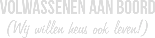 Volwassenen aan boord sticker