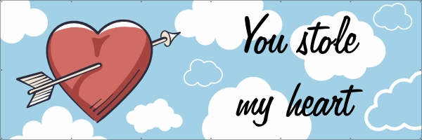 You stole my heart spandoek