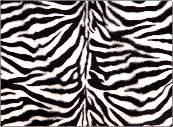 Zebra laptop sticker 17 inch
